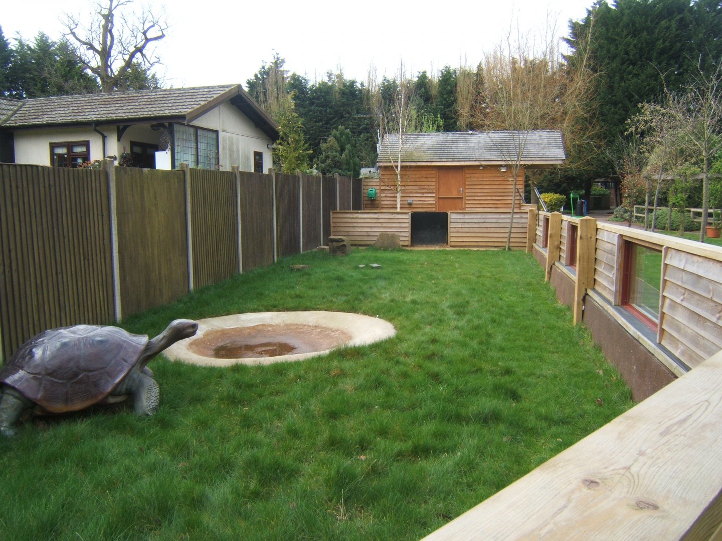 18/3/2017 View of Tortoise enclosure