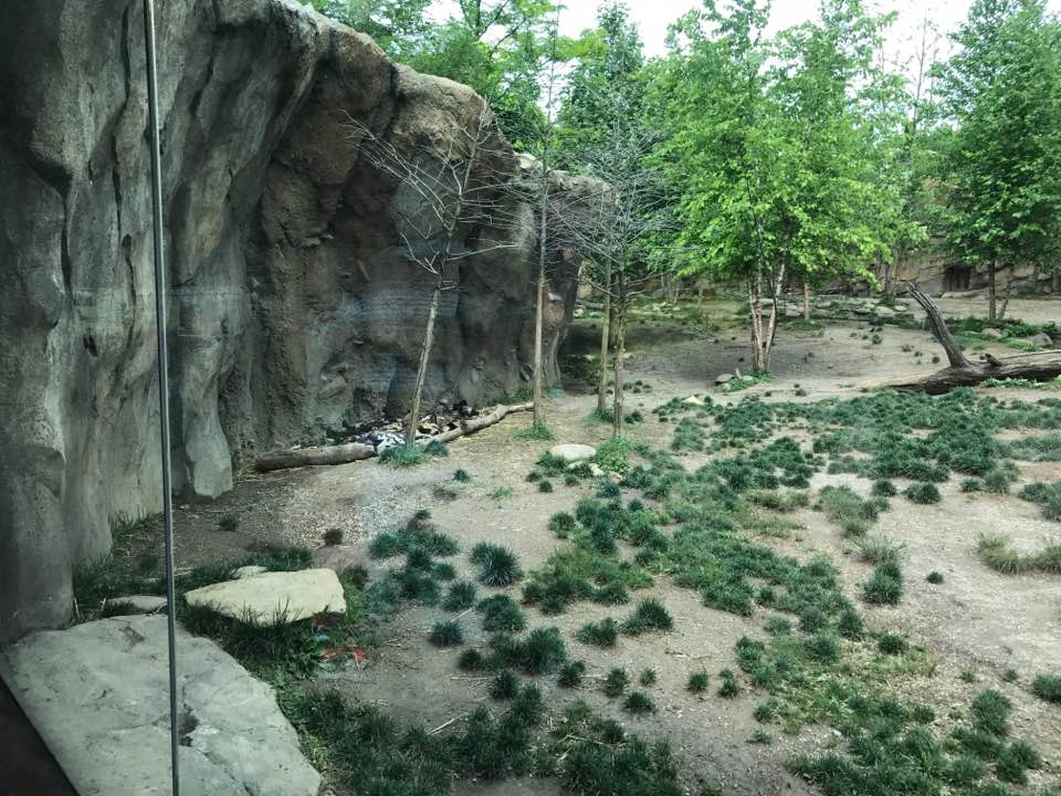 18556968_10213297630016876_6639479326125071512_n