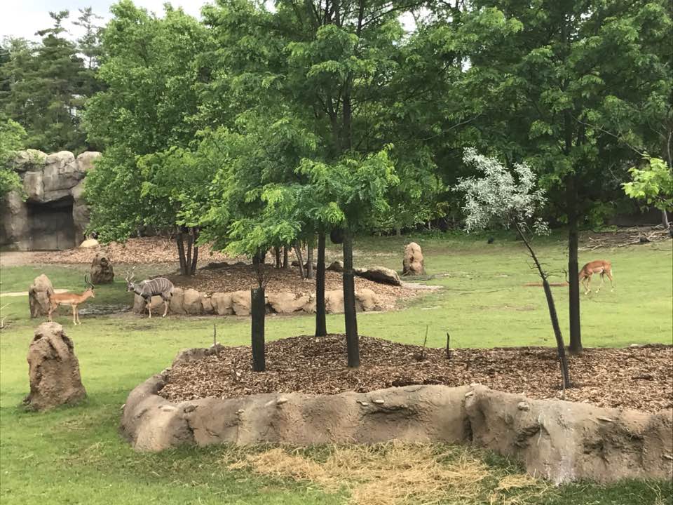 18557388_10213297621336659_3424548452469168079_n