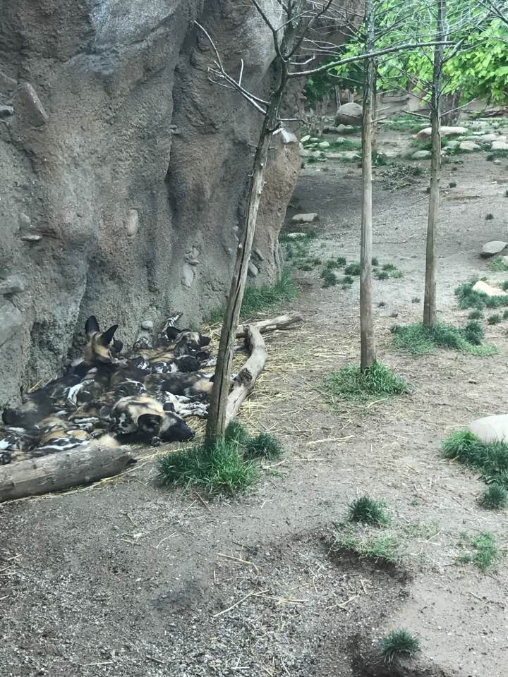 18581612_10213297630056877_7510641736931316371_n