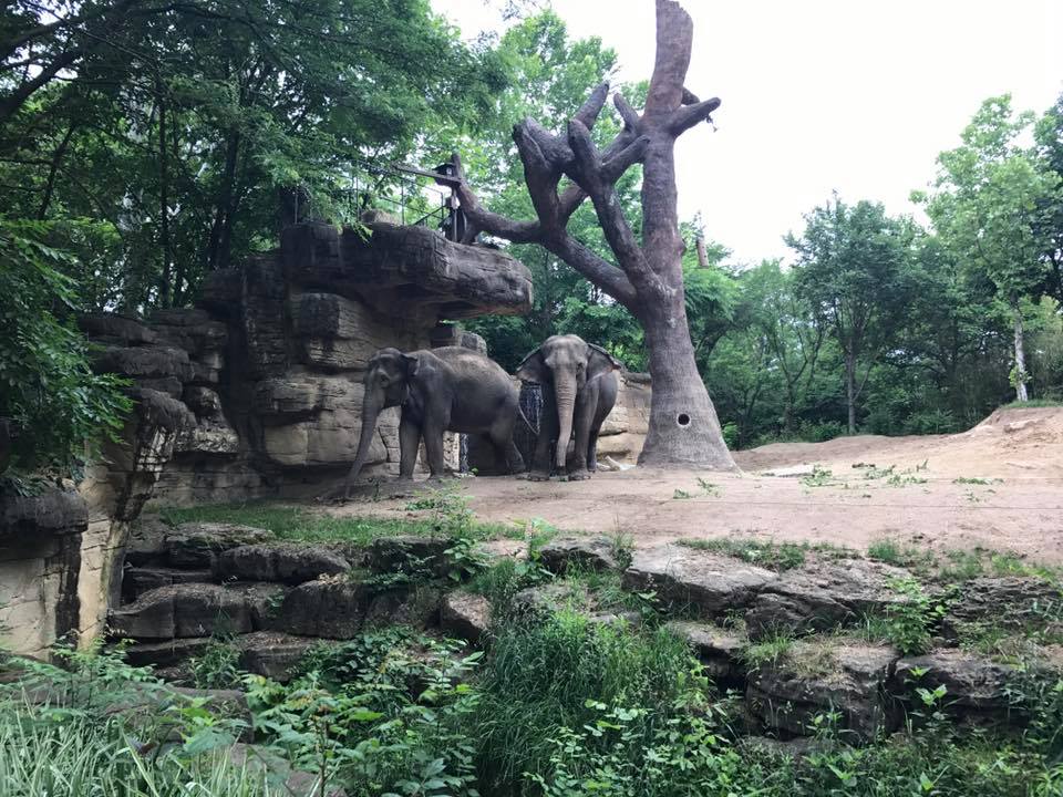 18619901_10213316904098716_5852639194510010167_n