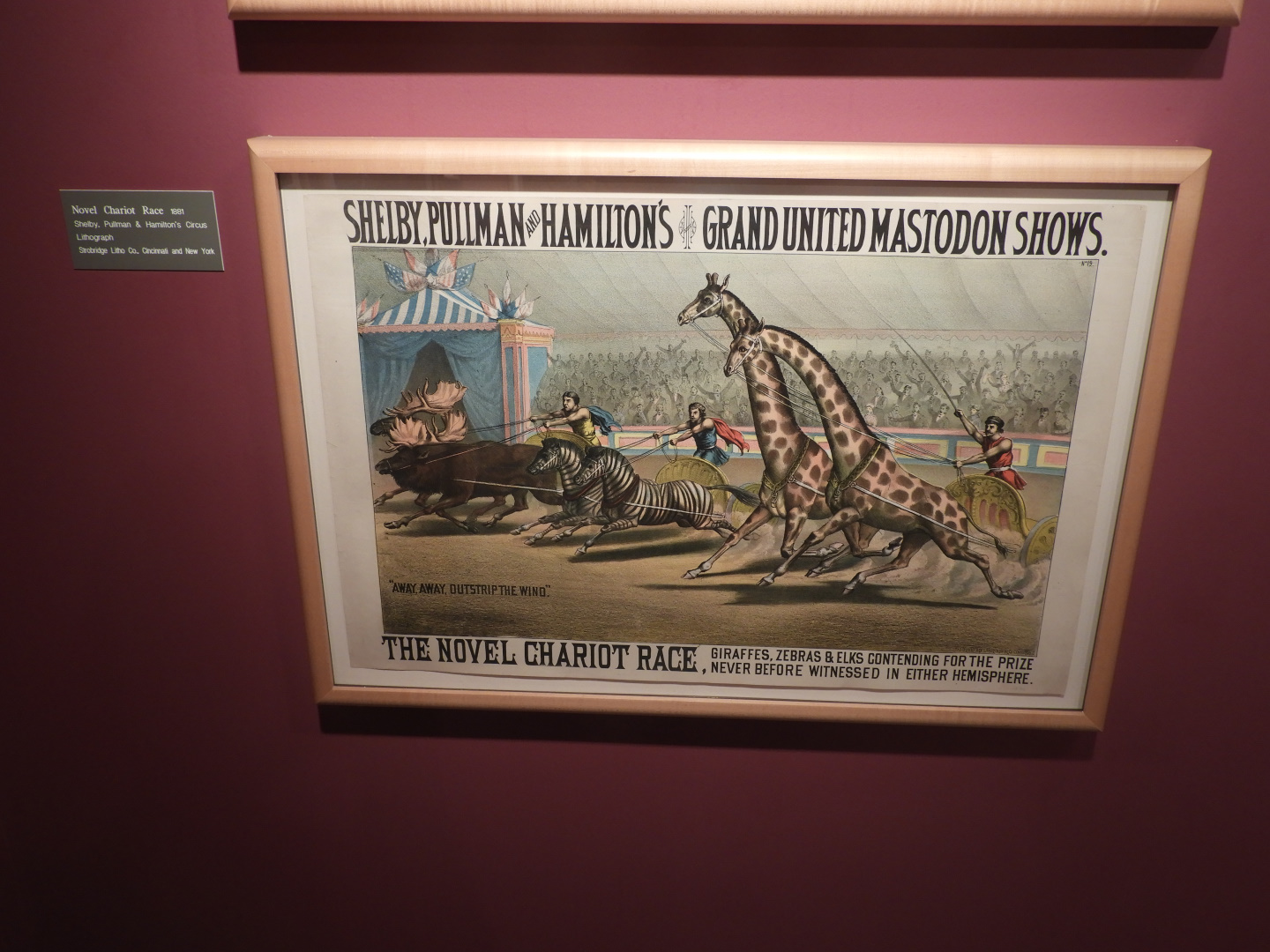 1881 Shelby, Pullman, and Hamilton's Great United Mastodon Shows 'Novel Chariot Race' Poster - Circus World Museum