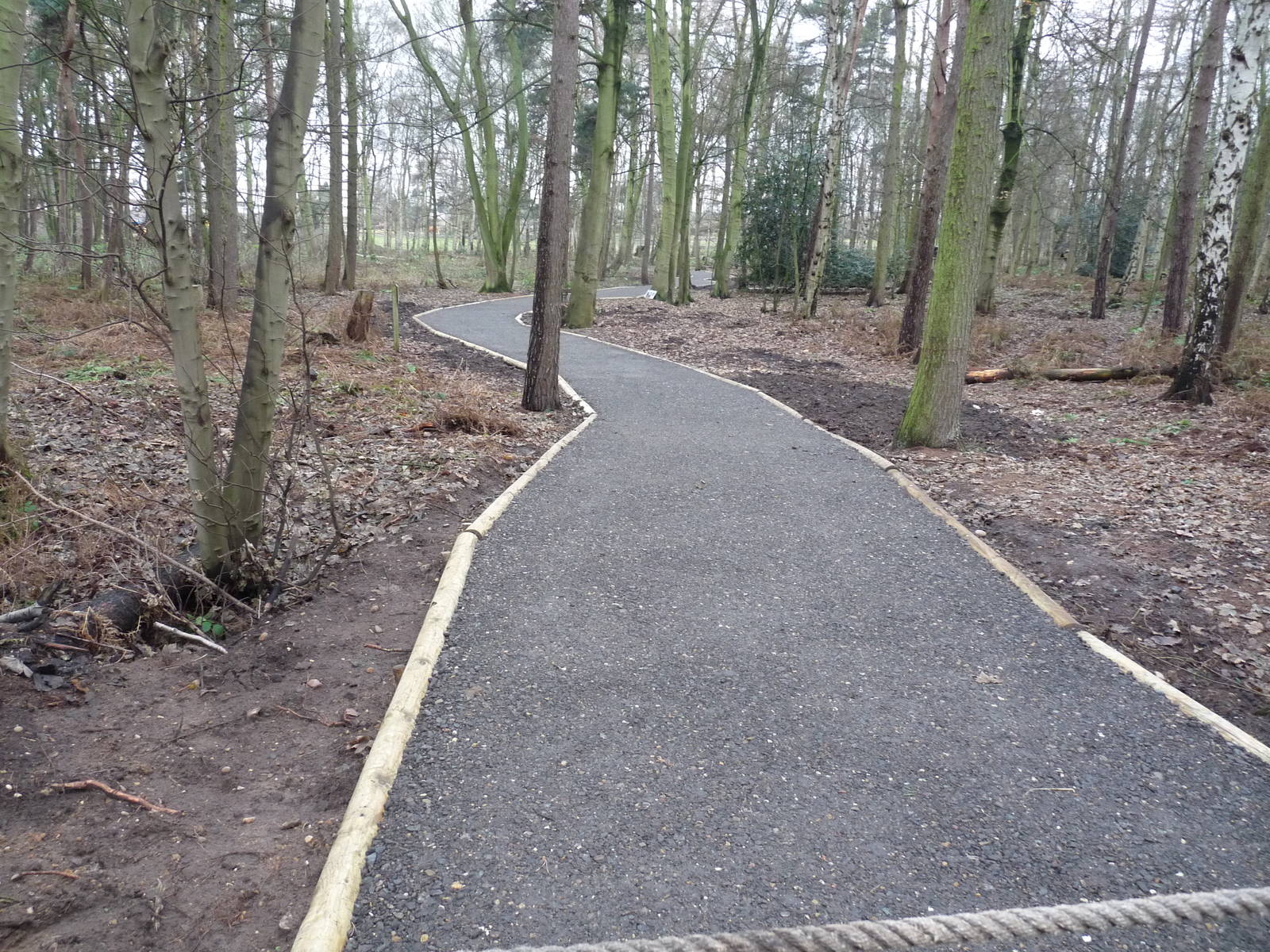 19/12/12 new path through woodland
