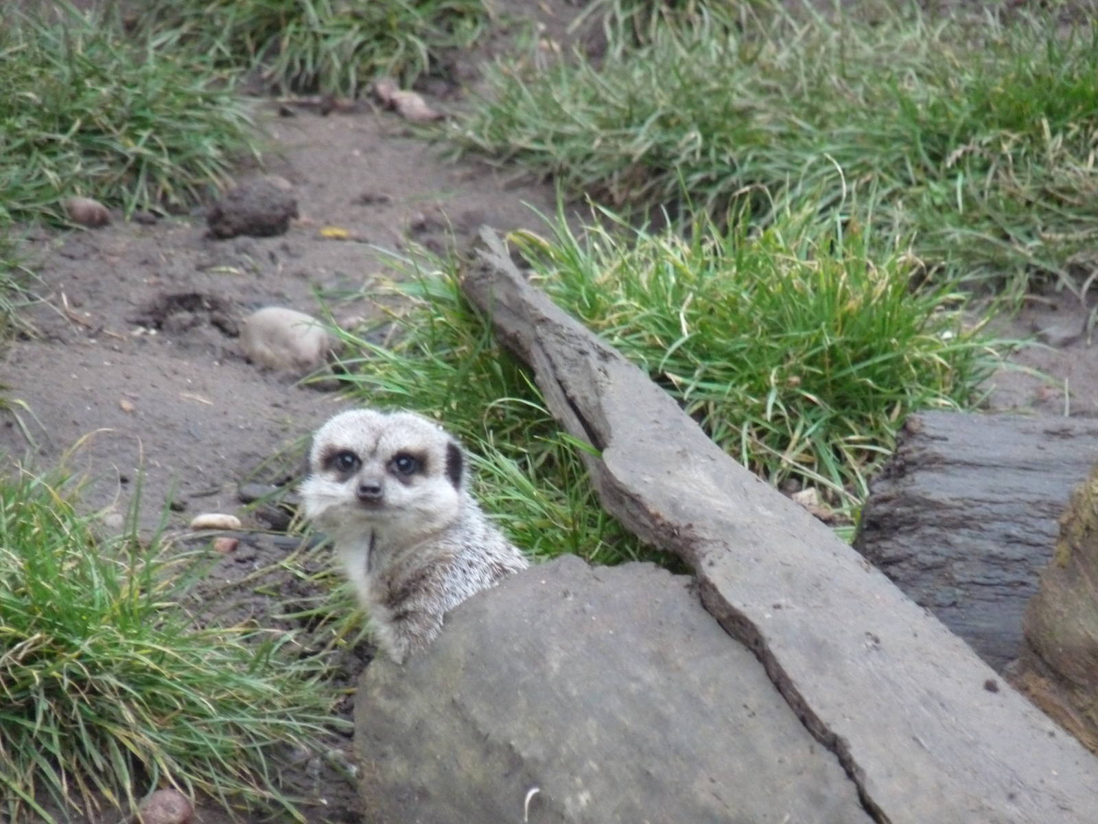 19/12/12 oh, it's you!