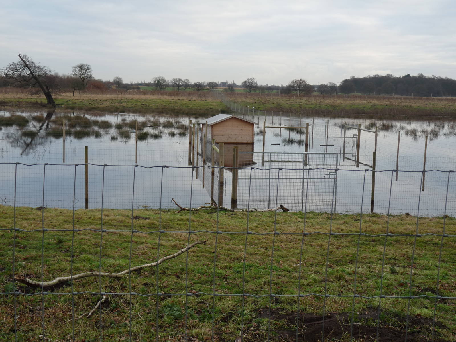 19/12/12 sitatunga enclosure