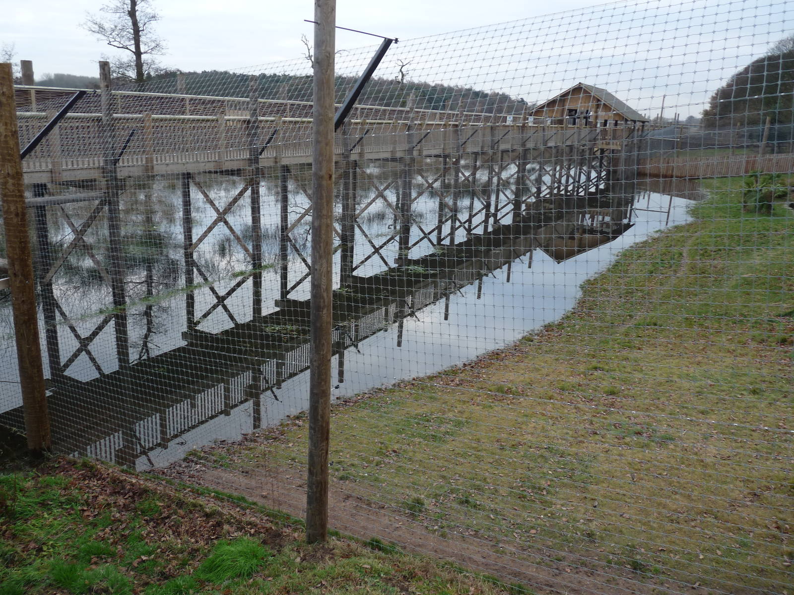 19/12/12 tiger enclosure