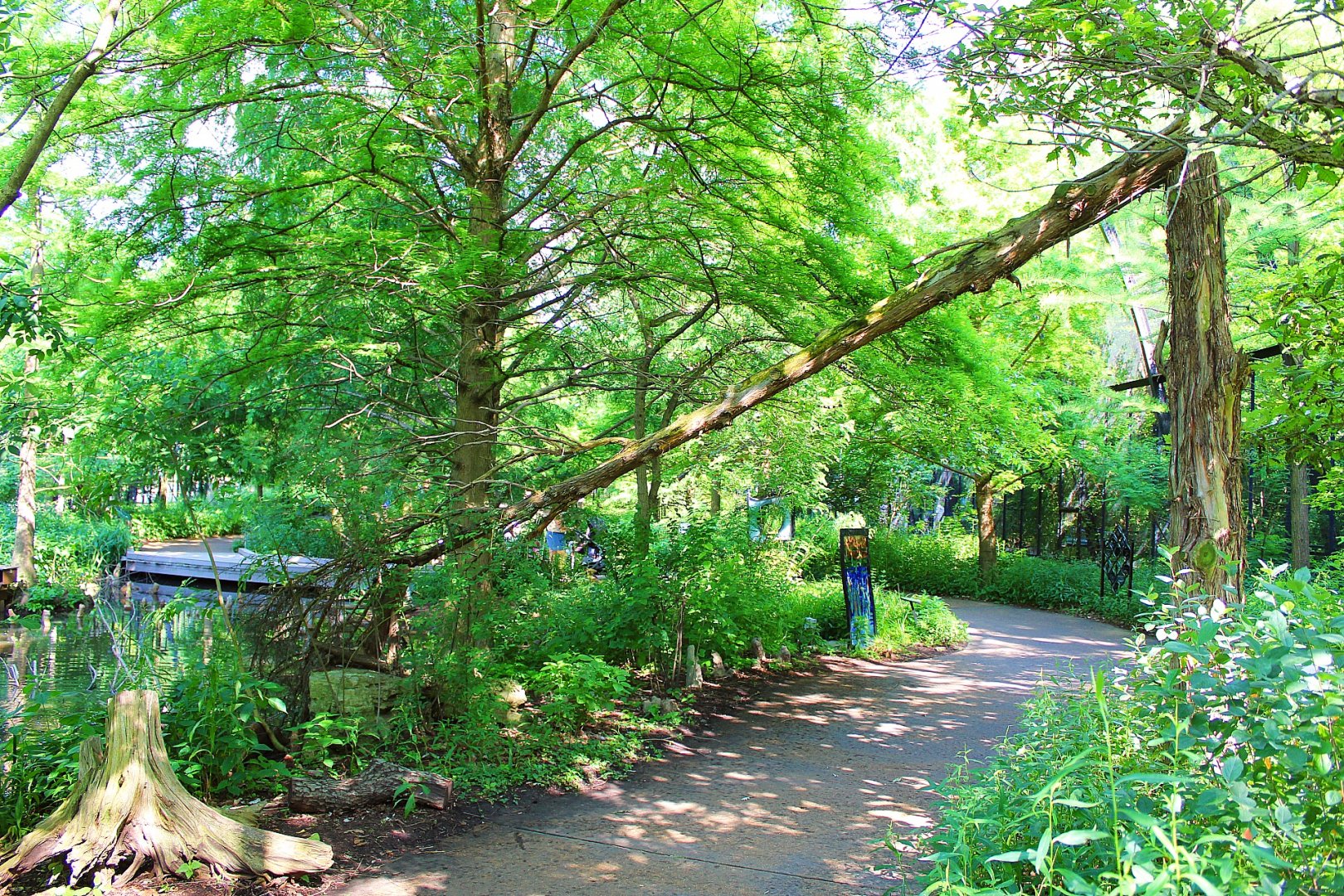 1904 Cypress Swamp Flight Cage