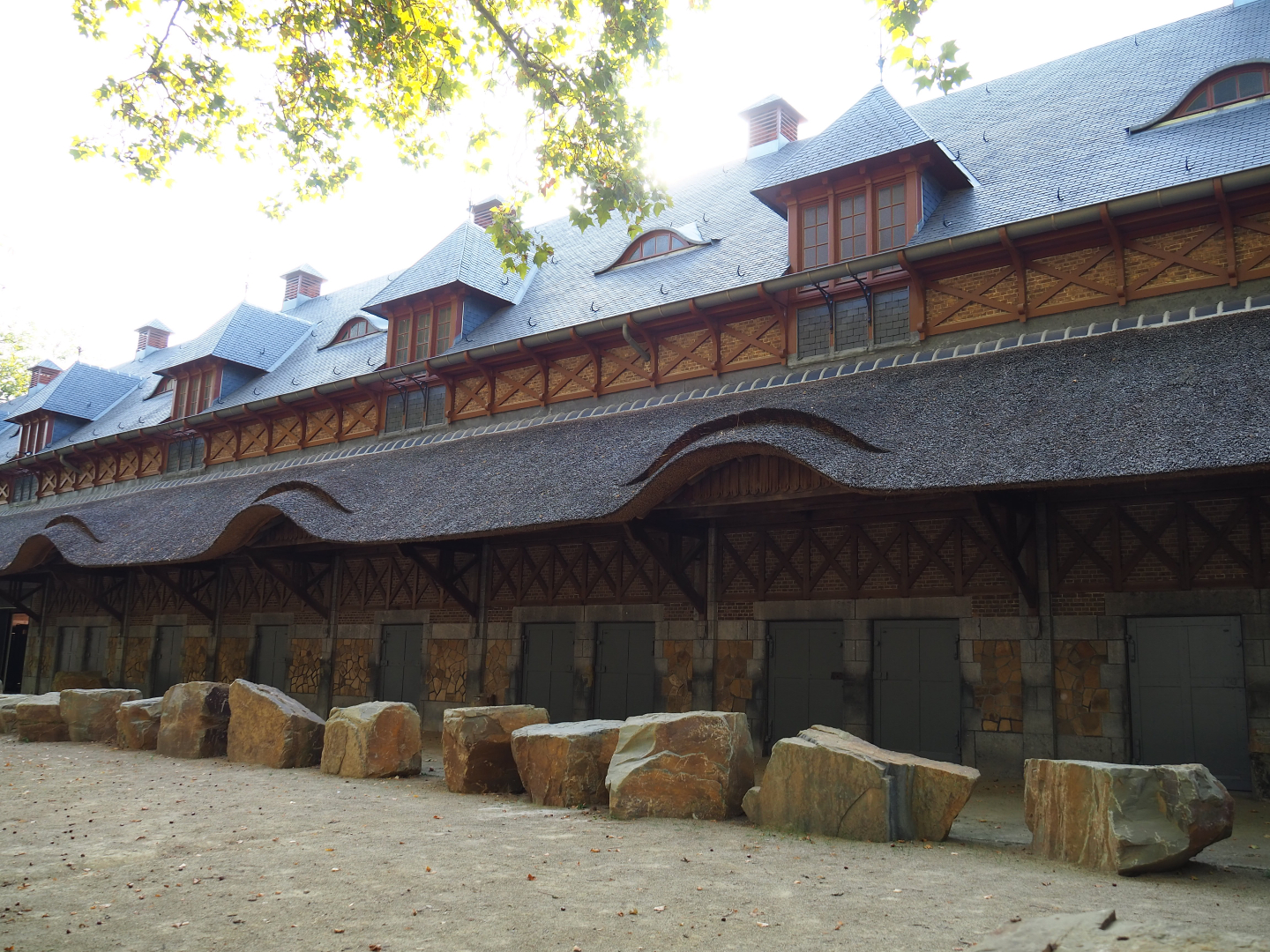 1908-1909 bovine house, 2020-09-20