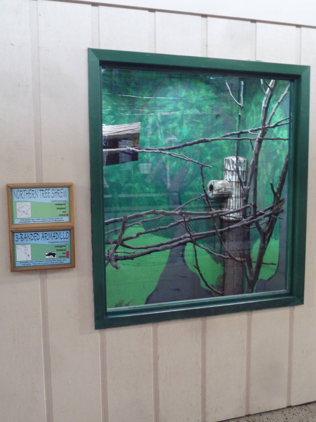 1914 Koetthoefer Animal Building - Armadillo/Tree Shrew Exhibit