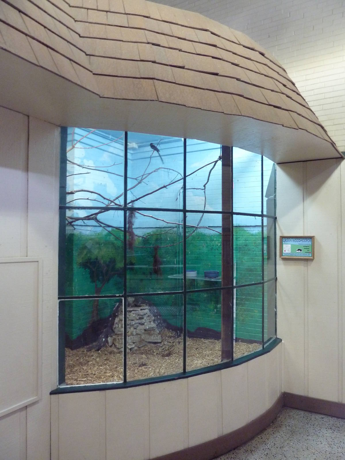 1914 Koetthoefer Animal Building - Green Woodhoopoe Exhibit