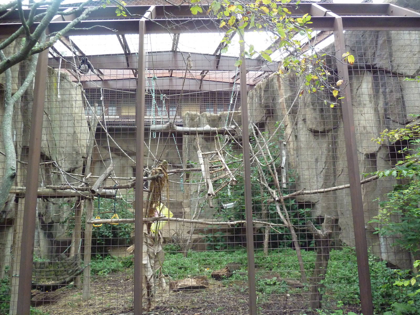 1914 Koetthoefer Animal Building - Mueller's Gibbon Outdoor Exhibit