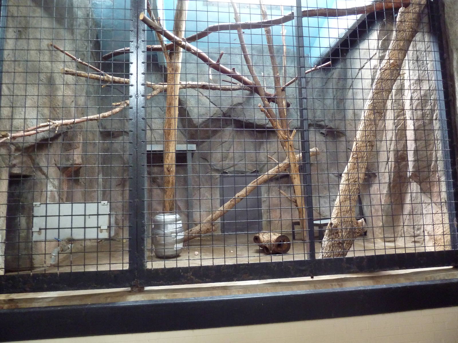 1914 Koetthoefer Animal Building - Snow Leopard Indoor Exhibit