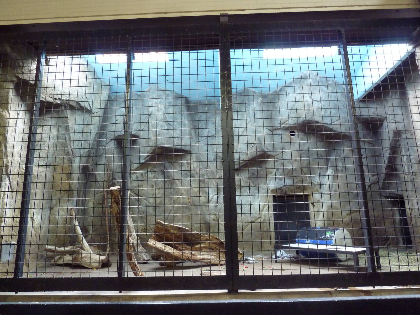 1914 Koetthoefer Animal Building - Sun Bear Indoor Exhibit