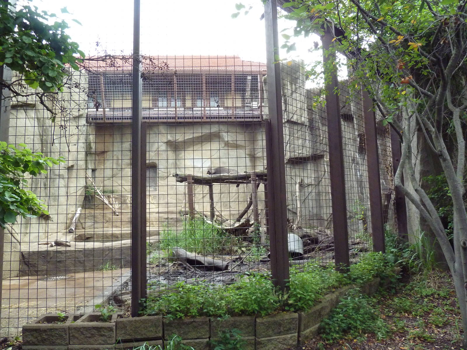 1914 Koetthoefer Animal Building - Sun Bear Outdoor Exhibit
