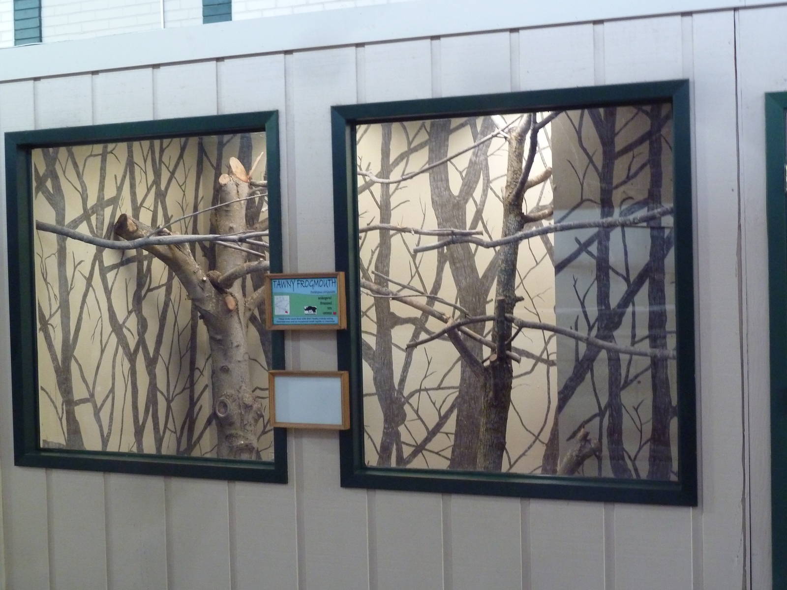 1914 Koetthoefer Animal Building - Tawny Frogmouth Exhibit