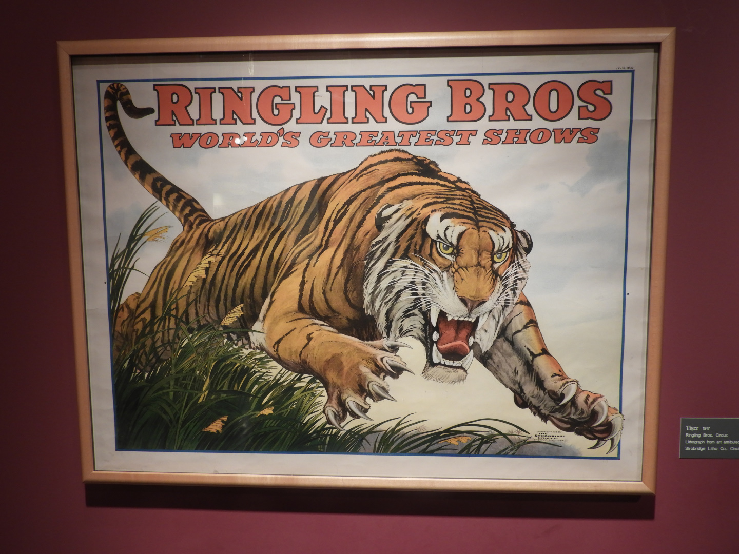 1917 Ringling Bros. Circus Tiger Poster - Circus World Museum