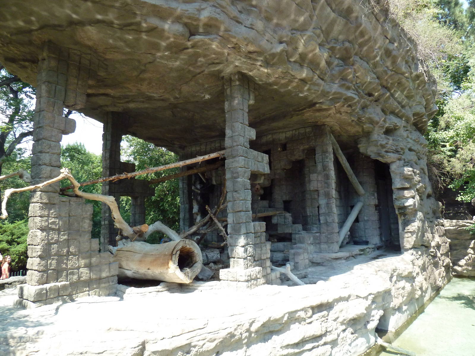 1918 Bear Mountain - Coati Exhibit