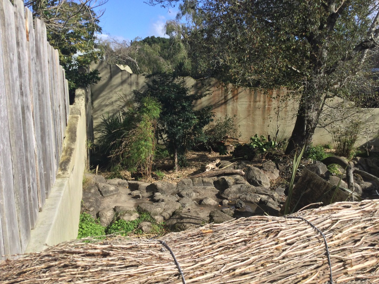 1922 Bear Pit (Side View)