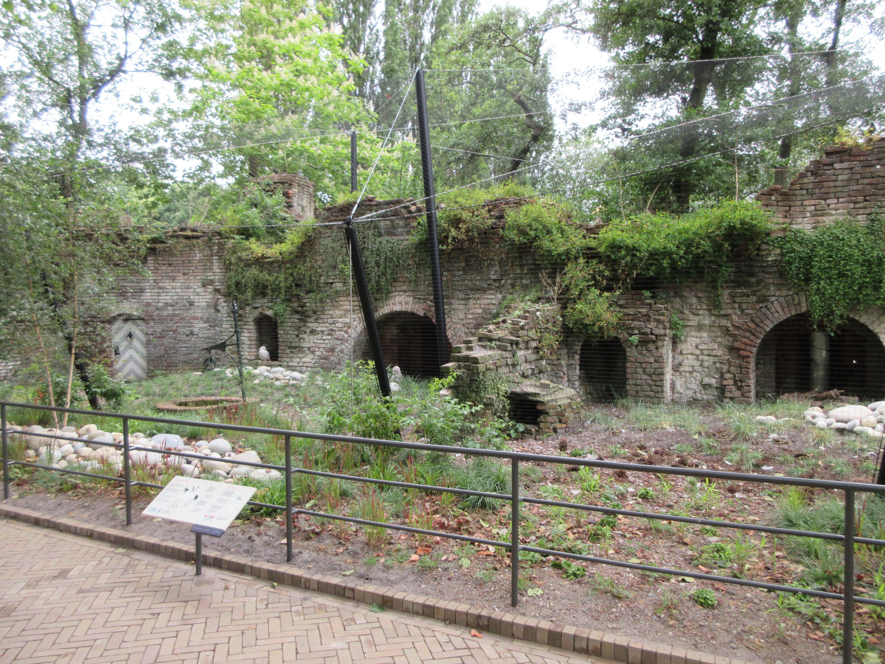 1922 'Ruins' - Snowy Owls + Red-Crowned Cranes