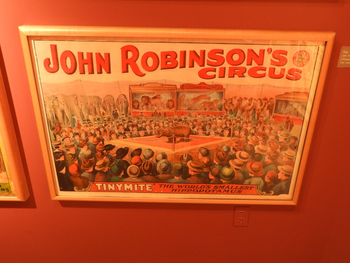 1925 John Robinson's Circus Pygmy Hippopotamus 'Tinymite' Poster - Circus World Museum