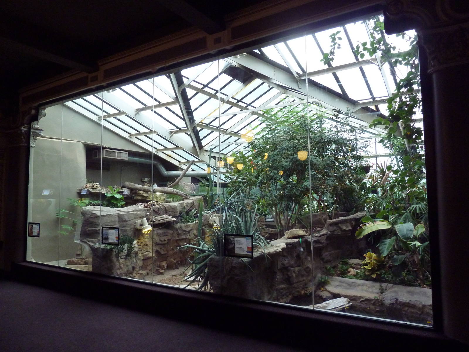 1927 Reptile House - 3 Exhibits