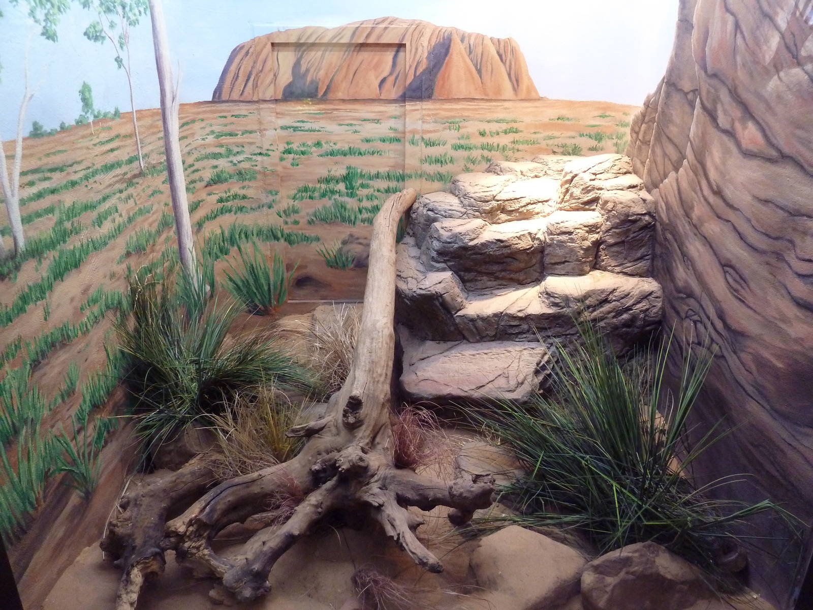 1927 Reptile House - Black-Headed Python Exhibit