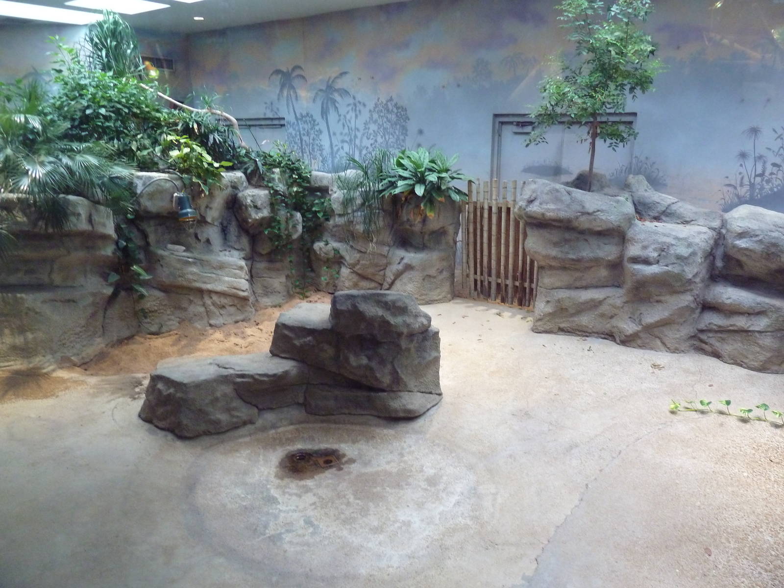 1927 Reptile House - Galapagos Tortoise/Aldabra Tortoise Indoor Exhibit