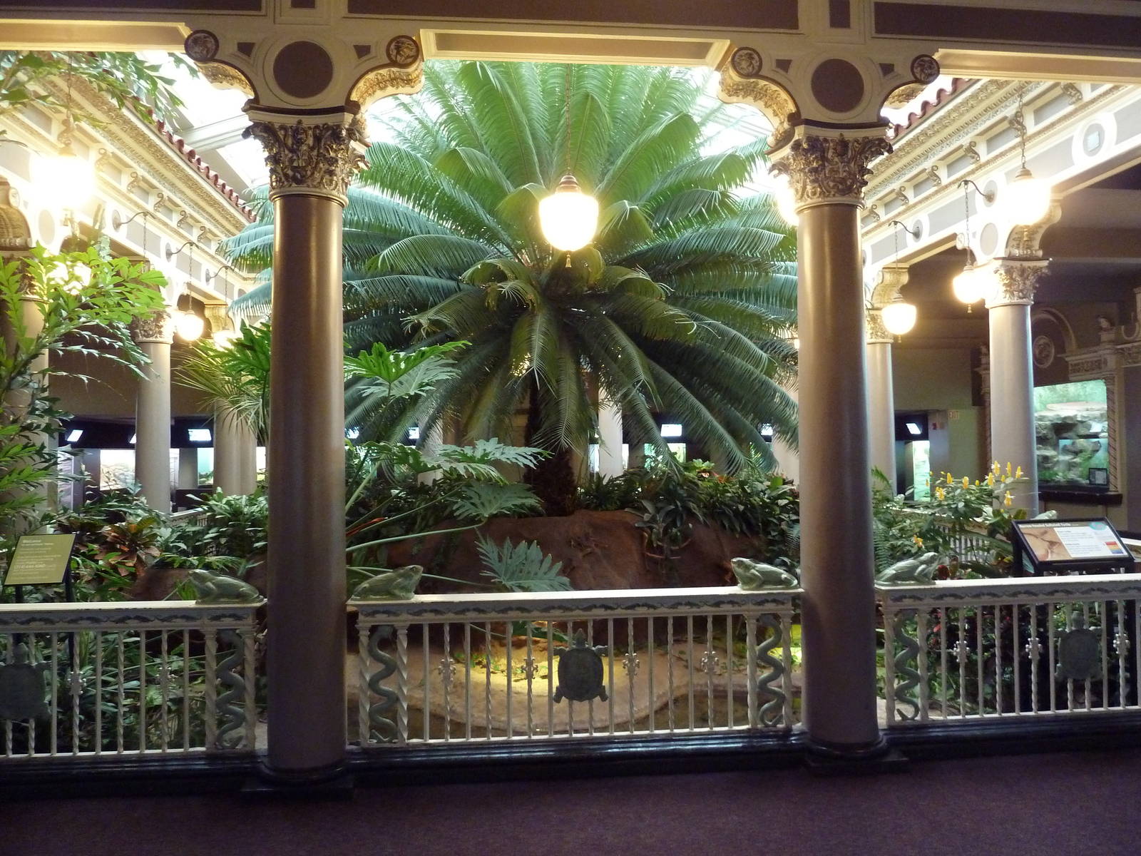 1927 Reptile House - Rare Turtle Pools