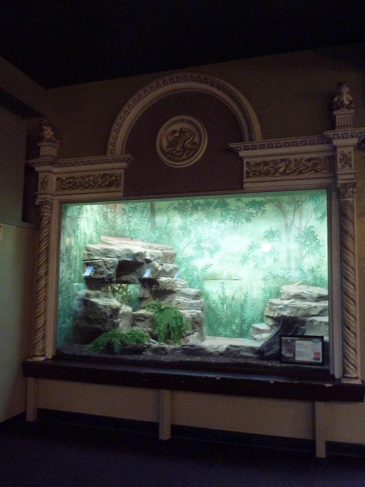 1927 Reptile House - Reticulated Python Exhibit