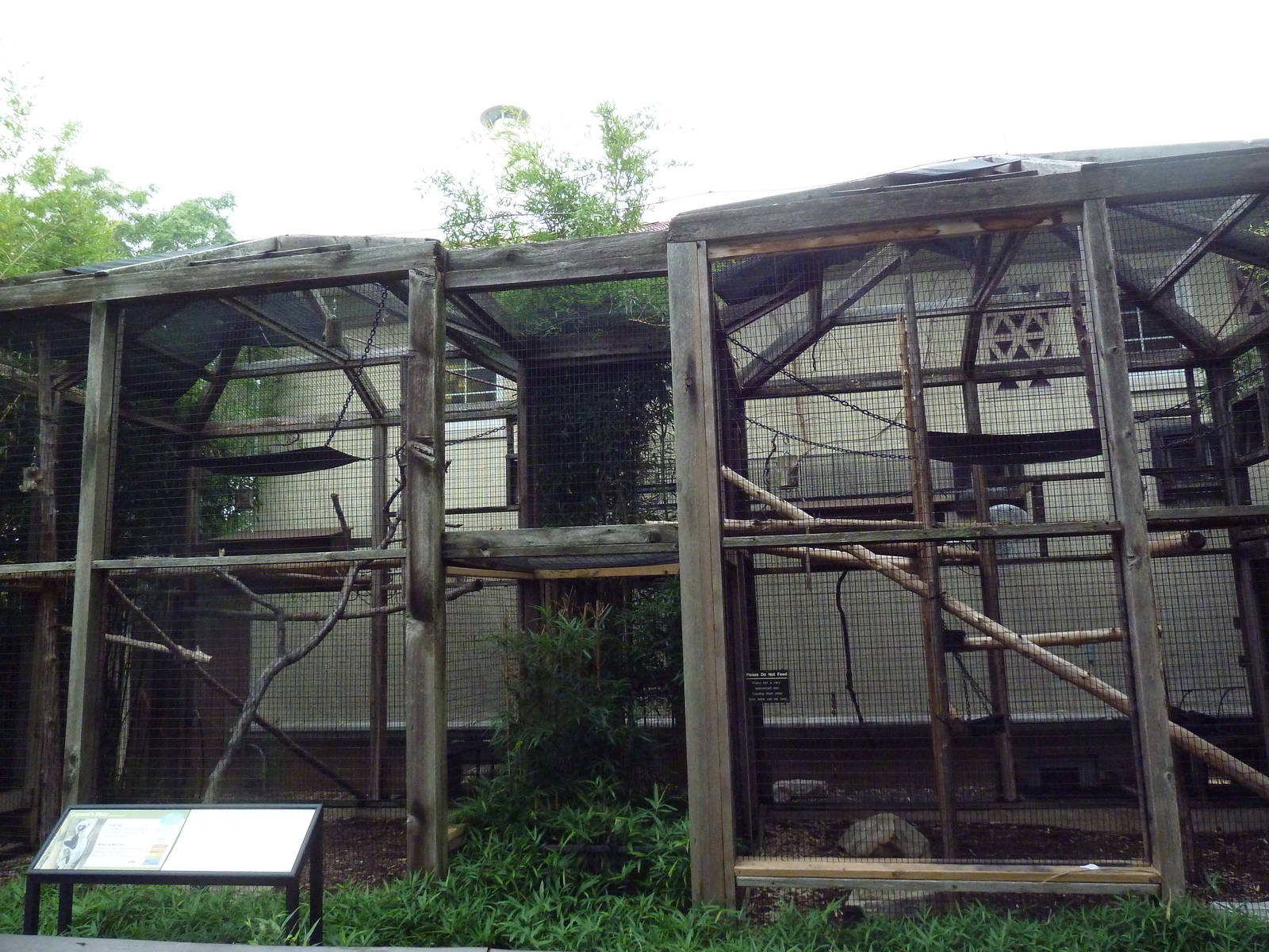 1929 Primate House - Coquerel's Sifaka Exhibits