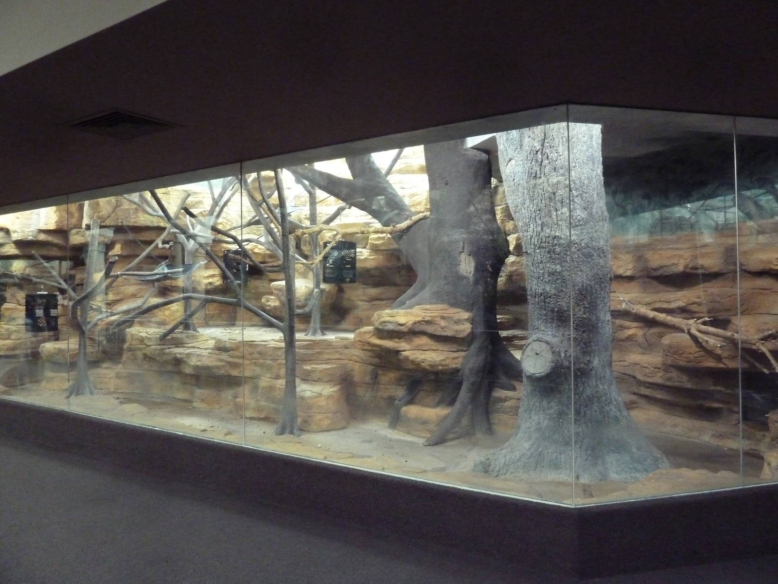 1929 Primate House - Guereza Colobus Monkey Exhibit