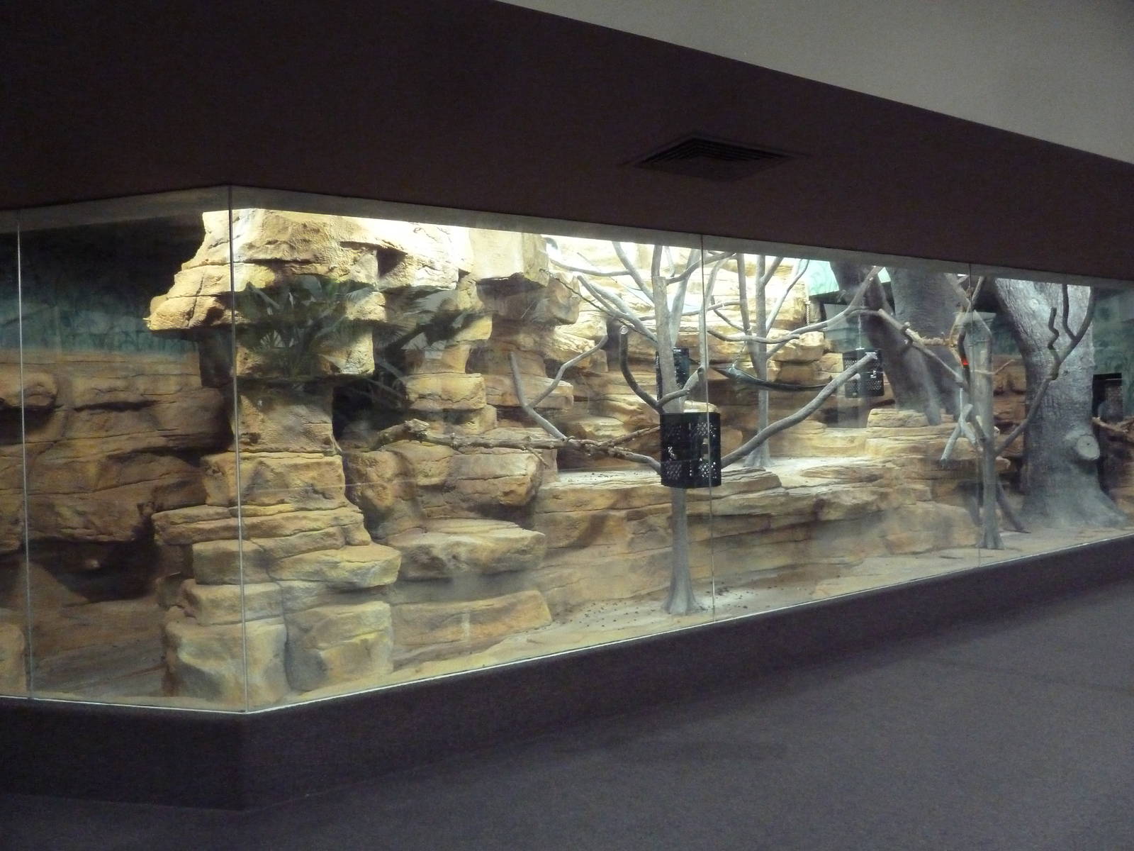 1929 Primate House - Guereza Colobus Monkey Exhibit