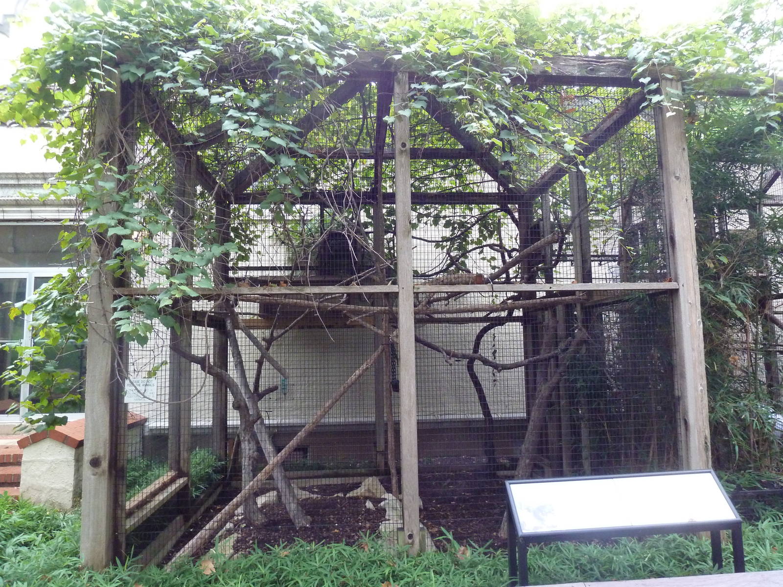 1929 Primate House - Mongoose Lemur Exhibit