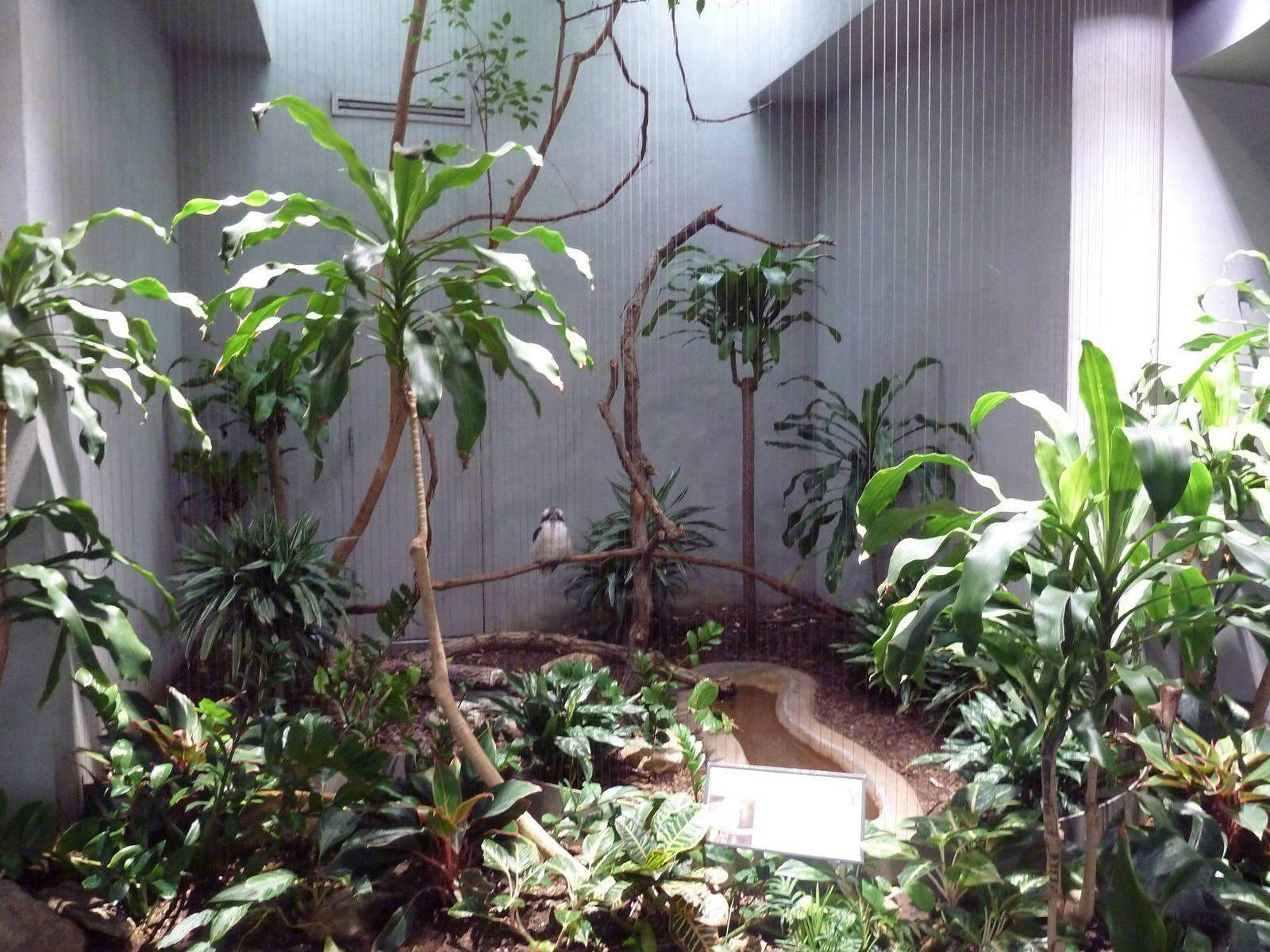 1930 Bird House - Kookaburra Exhibit