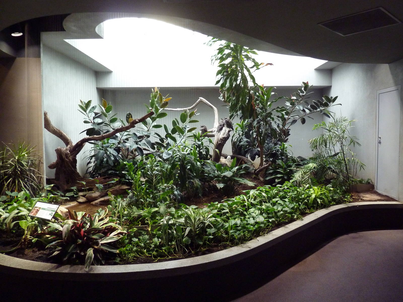 1930 Bird House - Tawny Frogmouth Exhibit