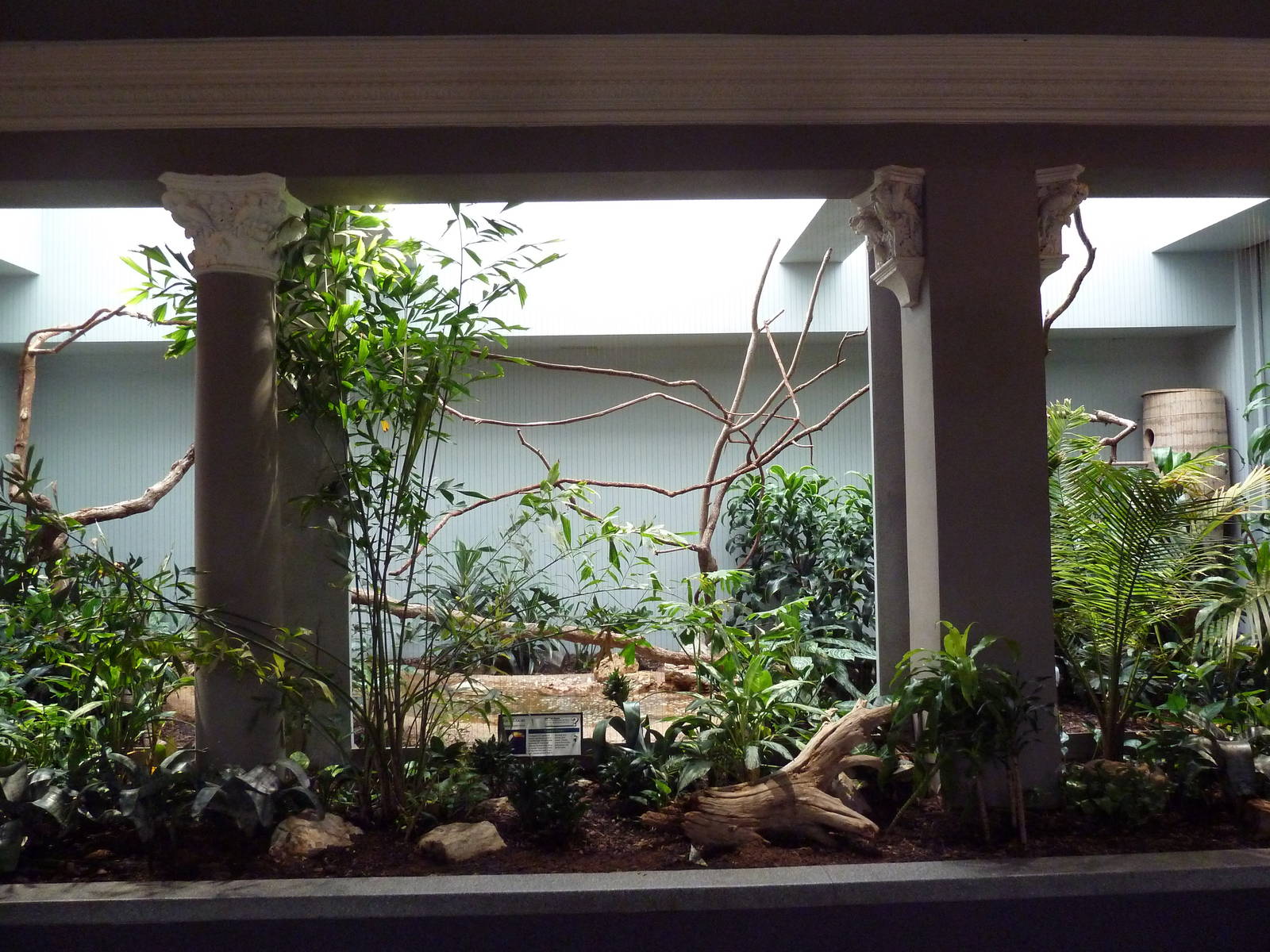 1930 Bird House - Toco Toucan Exhibit