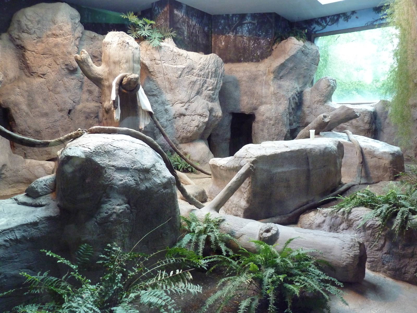 1930 Main Zoo Building - All-Indoor Gorilla Exhibit