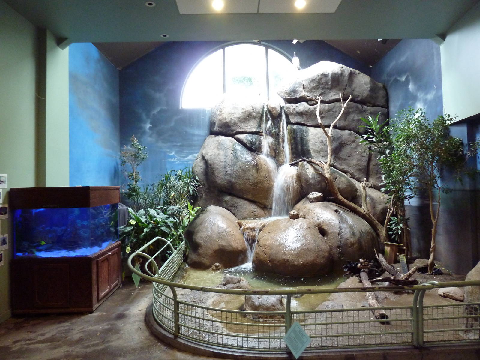 1930 Main Zoo Building - Bird Waterfall + Fish Tank