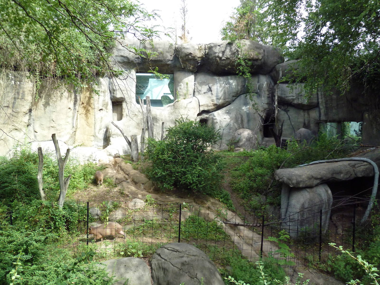 1930 Main Zoo Building - Capybara Exhibit