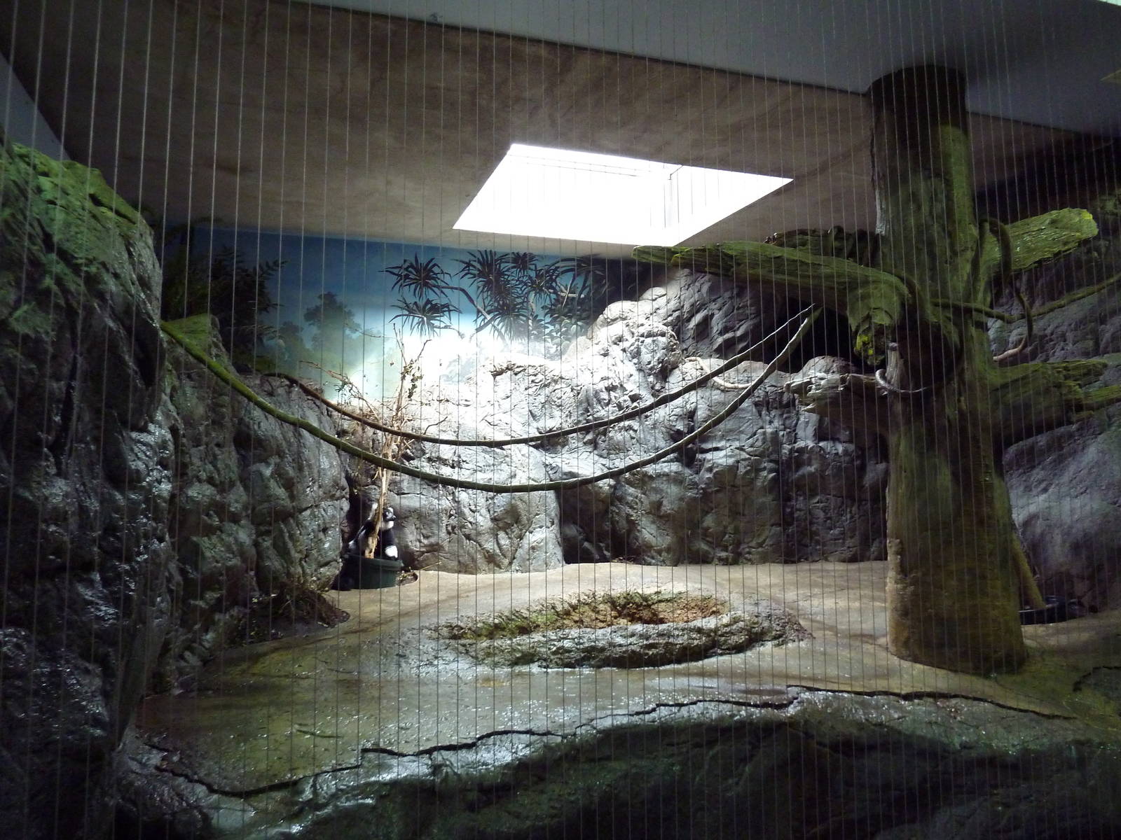 1930 Main Zoo Building - Lemur Indoor Exhibit