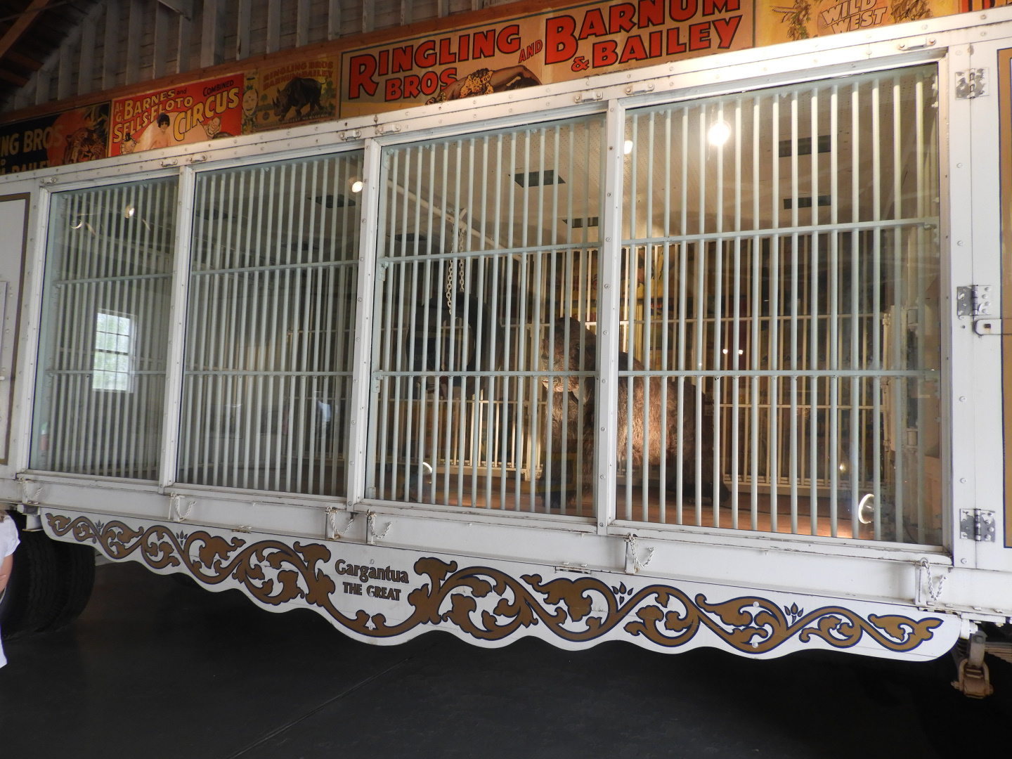 1930s-era Ringling Bros. and Barnum & Bailey Circus Mountain Gorilla circus wagon - Circus World Museum