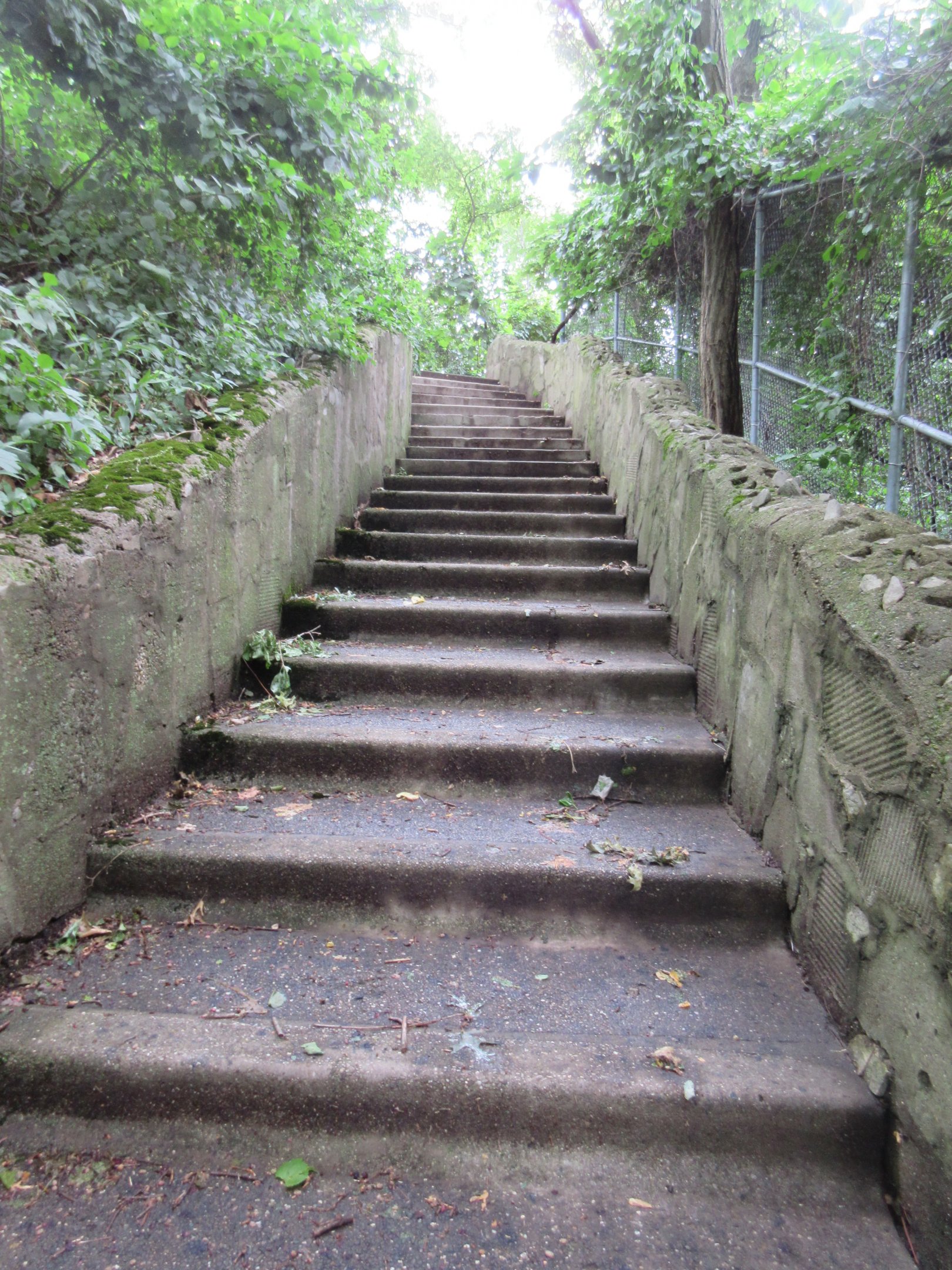1930s-era Stone Steps