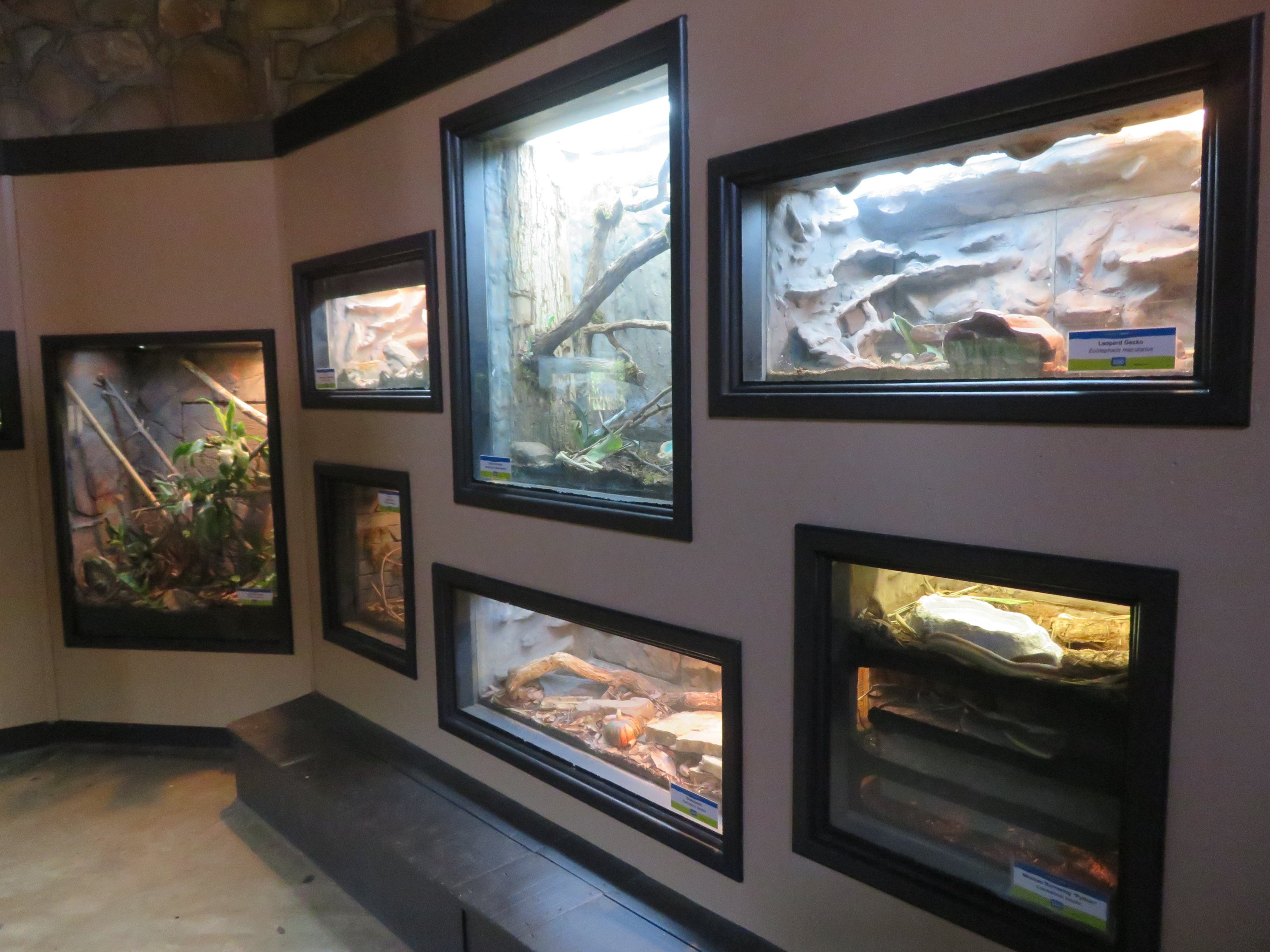 1936 Animal Building - Herp Tanks