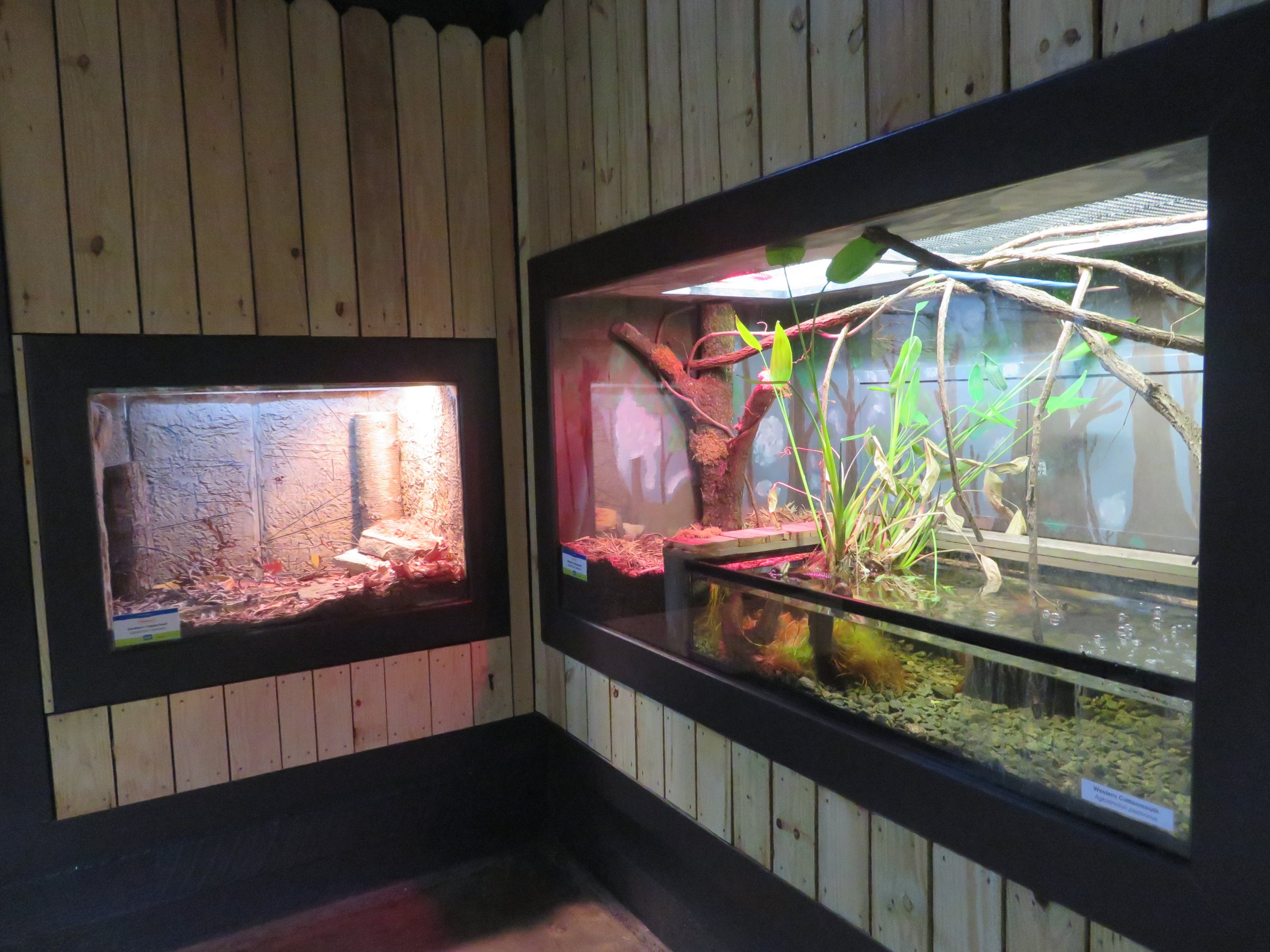 1936 Animal Building - Herp Tanks