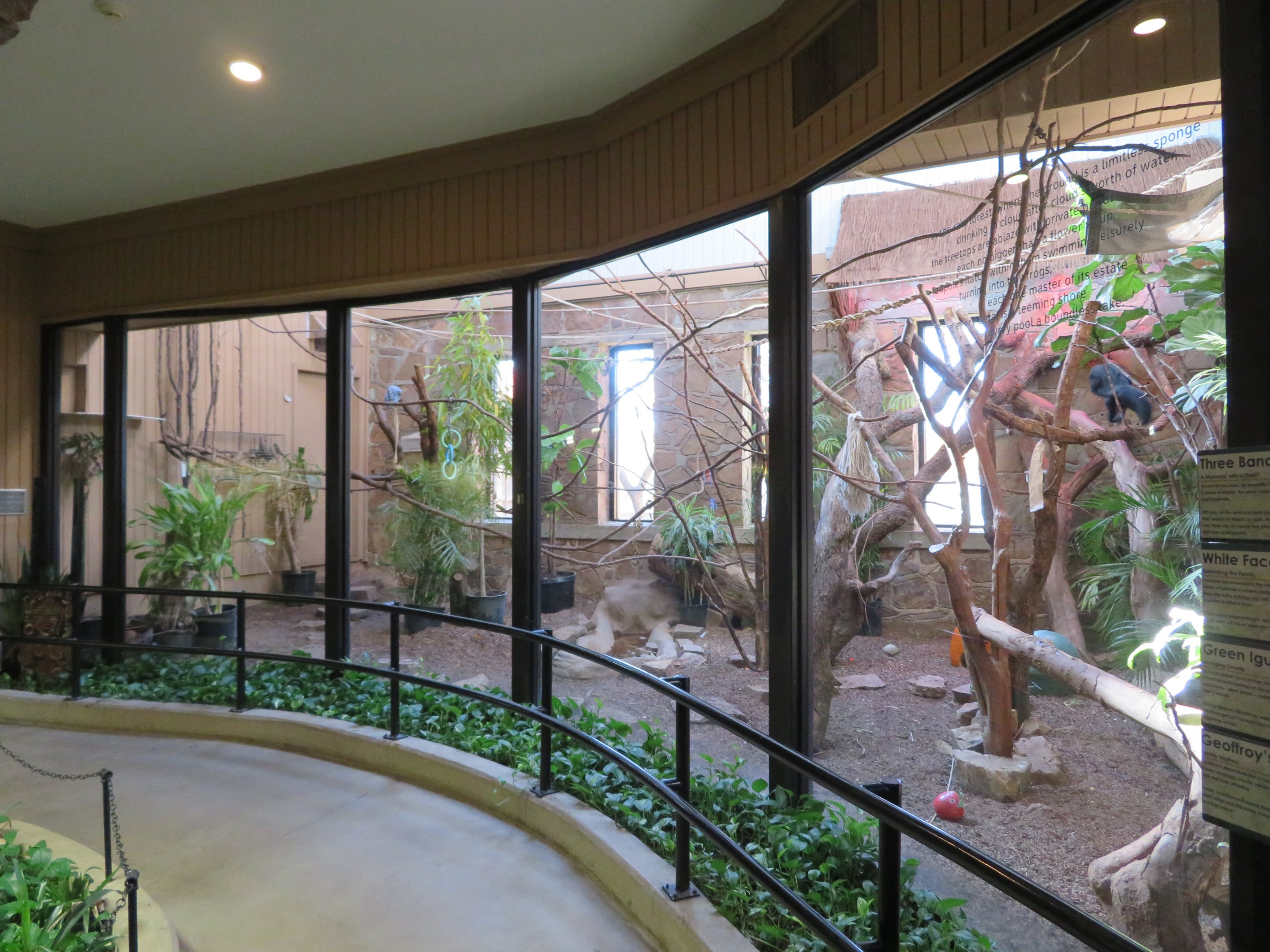 1936 Animal Building - Mixed Species Exhibit (4 spp)