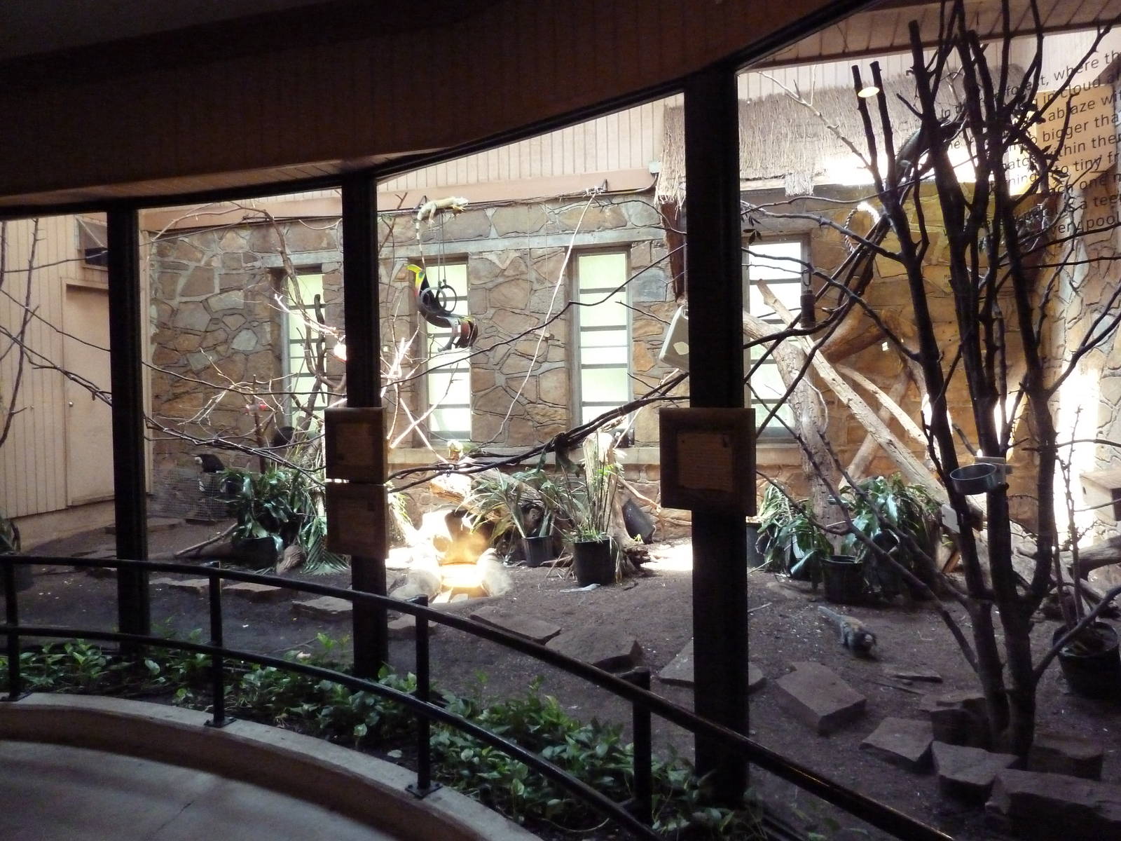 1936 Primates, Reptiles + Birds Building - 3 Species Exhibit