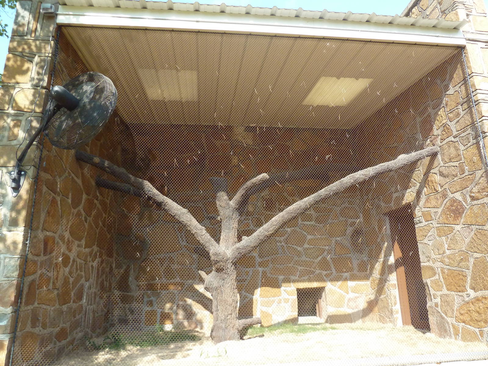 1936 Primates, Reptiles + Birds Building - Primate Exhibit