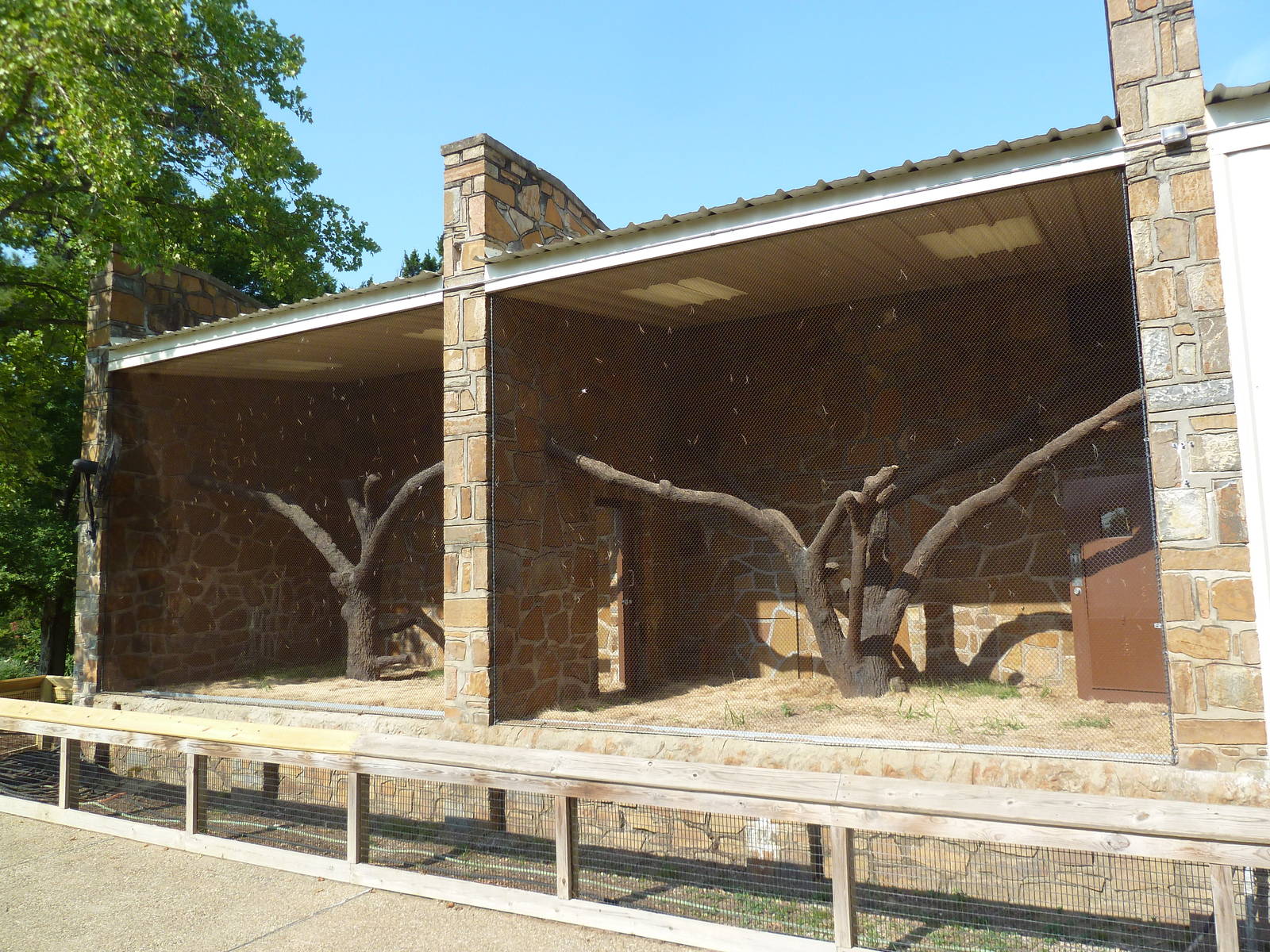 1936 Primates, Reptiles + Birds Building - Primate Exhibit