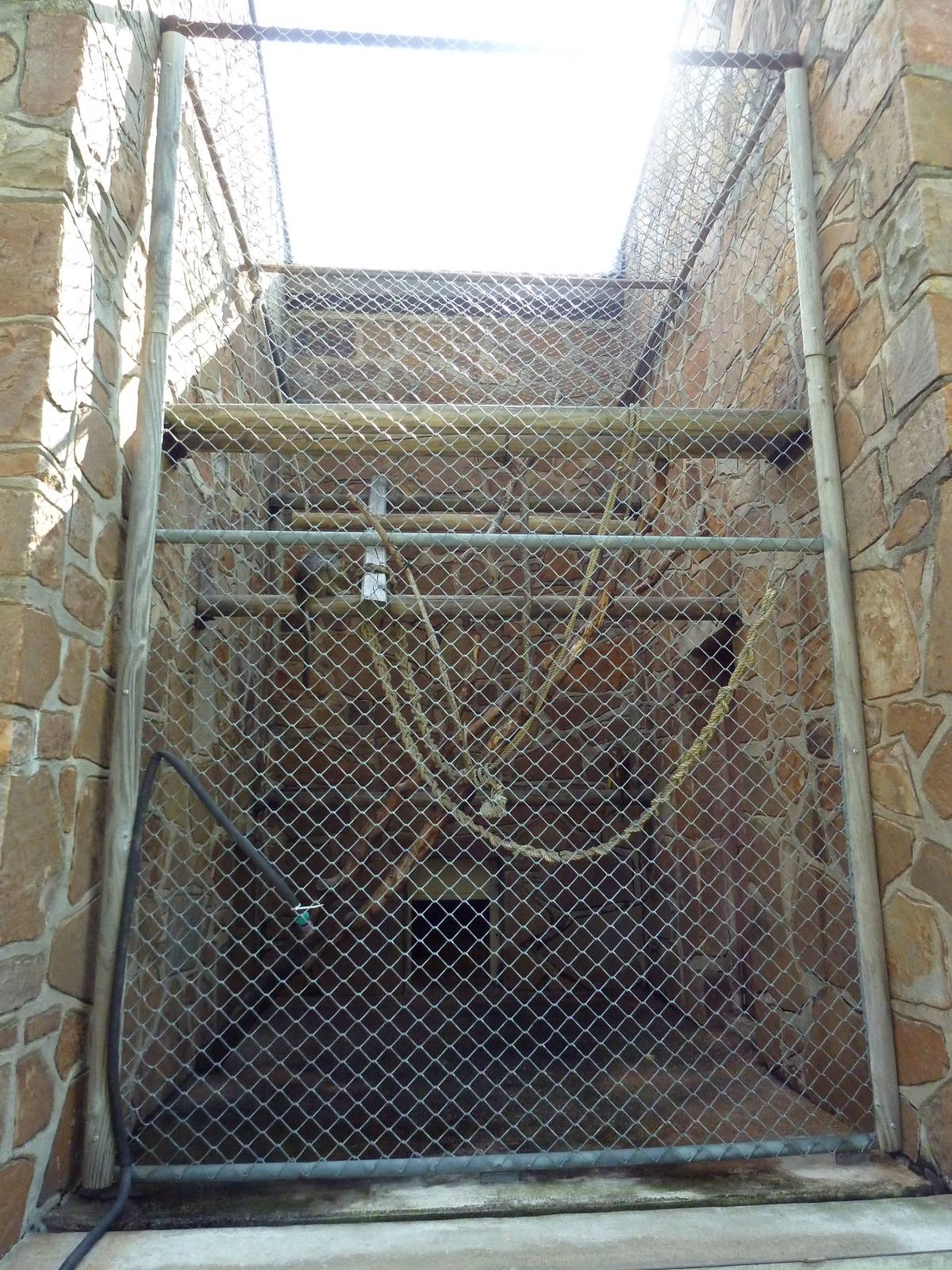 1936 Primates, Reptiles + Birds Building - Primate Exhibit