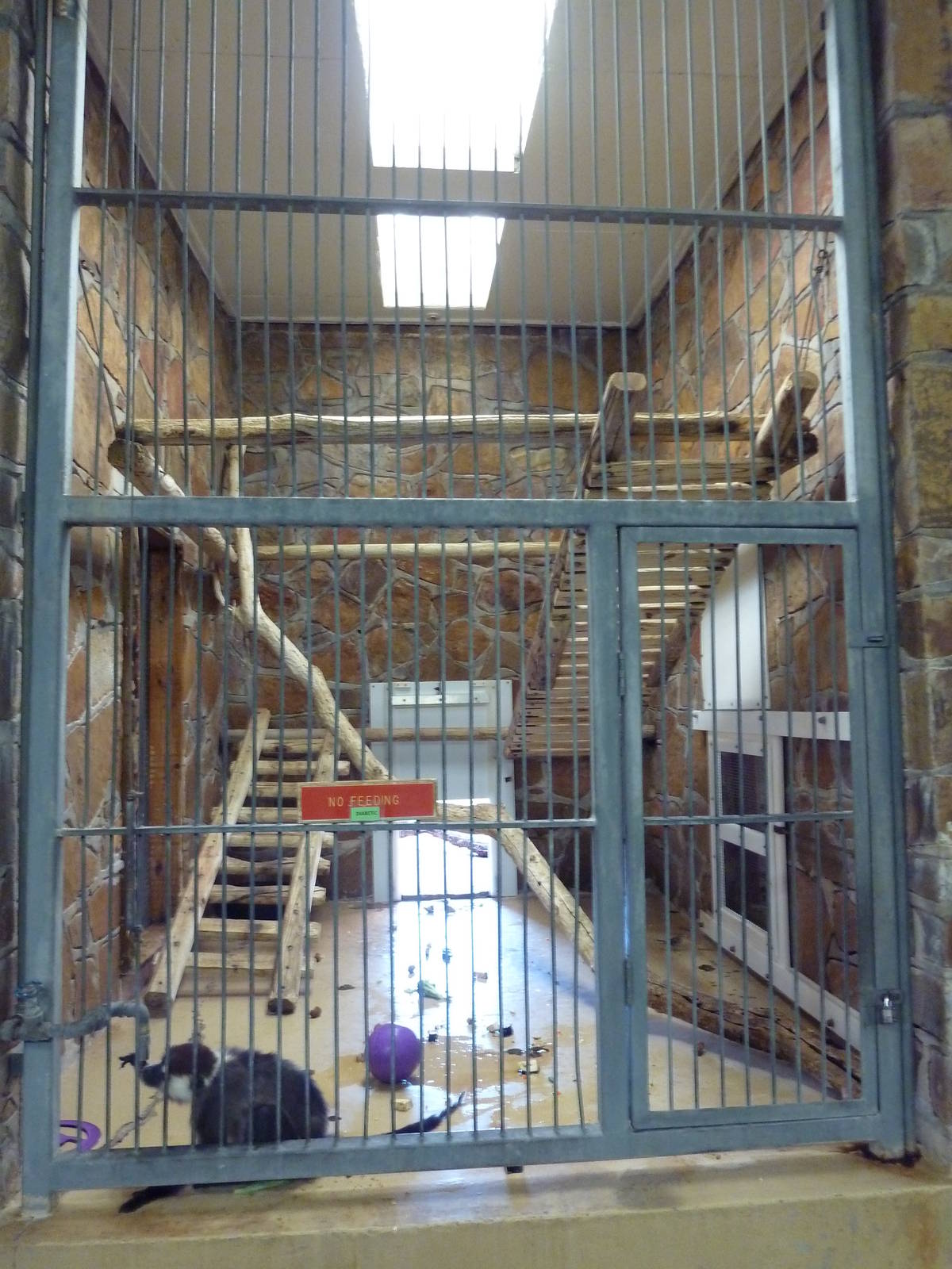 1936 Primates, Reptiles + Birds Building - Primate Exhibit